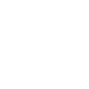 After sales & maintenance support